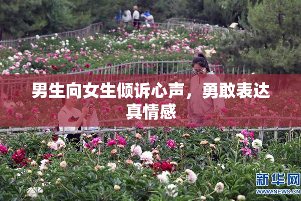 男生向女生倾诉心声，勇敢表达真情感