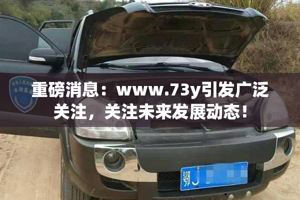 重磅消息：www.73y引发广泛关注，关注未来发展动态！