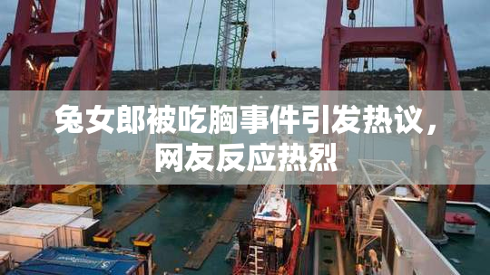 兔女郎被吃胸事件引发热议，网友反应热烈