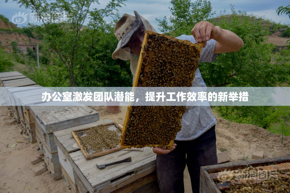 办公室激发团队潜能，提升工作效率的新举措