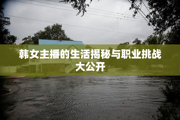 韩女主播的生活揭秘与职业挑战大公开