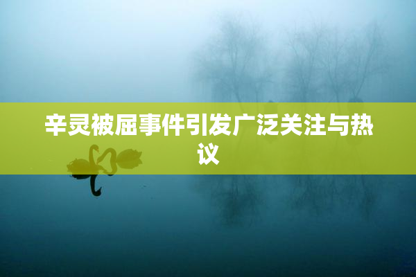 辛灵被屈事件引发广泛关注与热议