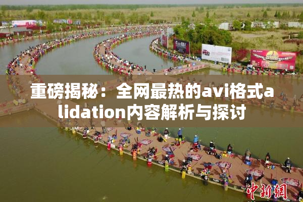 重磅揭秘：全网最热的avi格式alidation内容解析与探讨