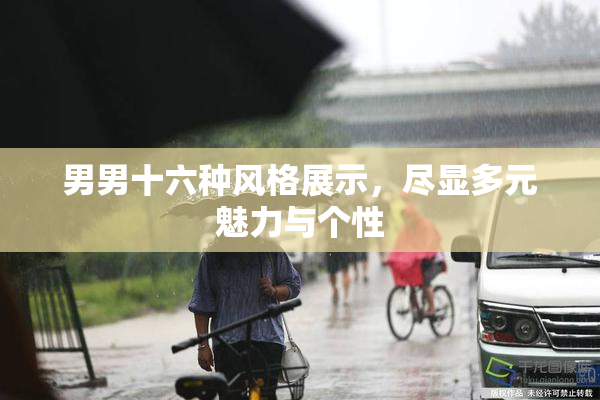 男男十六种风格展示，尽显多元魅力与个性