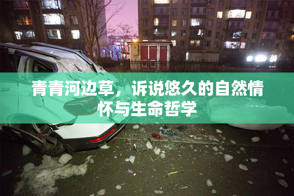 青青河边草，诉说悠久的自然情怀与生命哲学