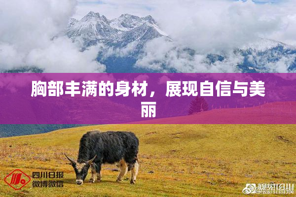胸部丰满的身材，展现自信与美丽