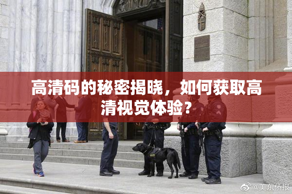 高清码的秘密揭晓，如何获取高清视觉体验？