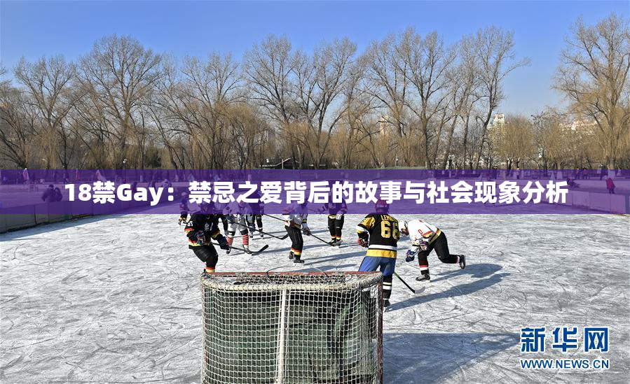 18禁Gay：禁忌之爱背后的故事与社会现象分析