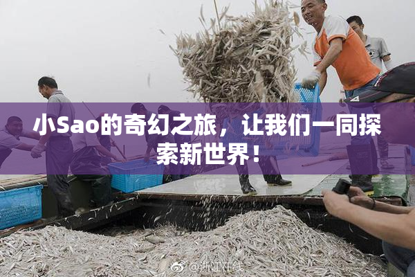 小Sao的奇幻之旅，让我们一同探索新世界！