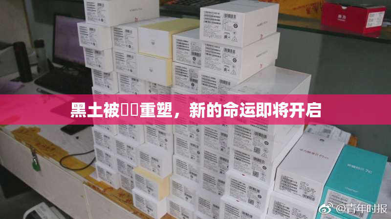 黑土被❌‌重塑，新的命运即将开启