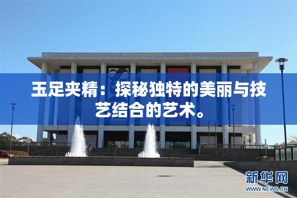 玉足夹精：探秘独特的美丽与技艺结合的艺术。