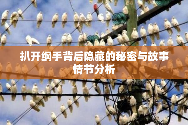 扒开纲手背后隐藏的秘密与故事情节分析