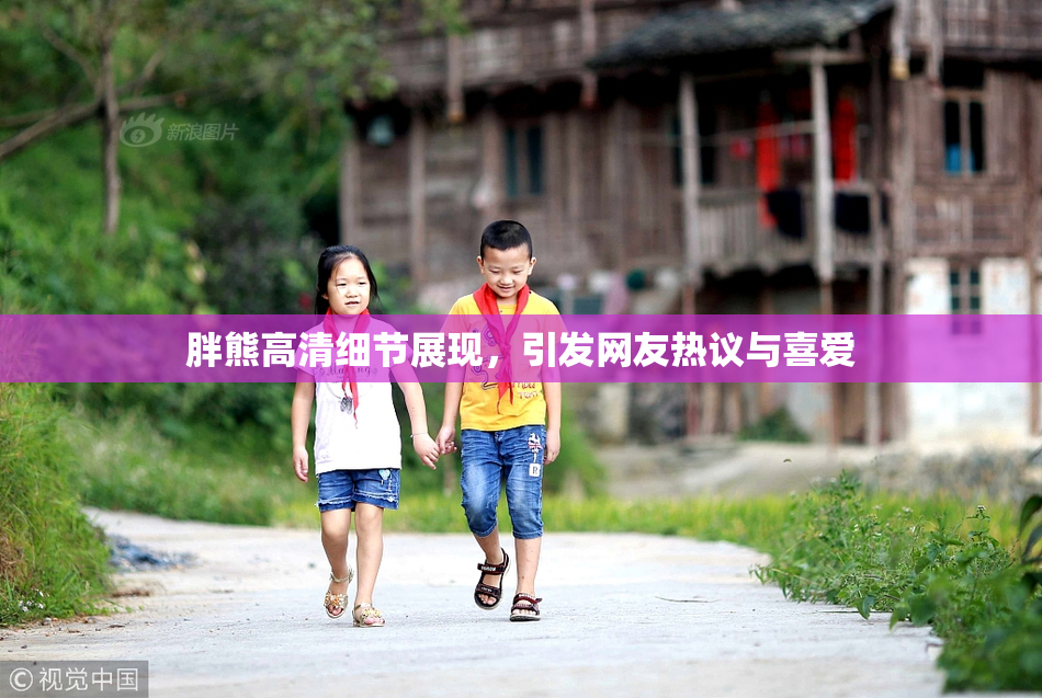 胖熊高清细节展现，引发网友热议与喜爱