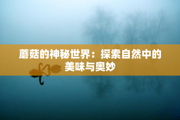 蘑菇的神秘世界：探索自然中的美味与奥妙