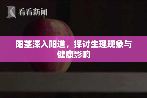 阳茎深入阳道，探讨生理现象与健康影响