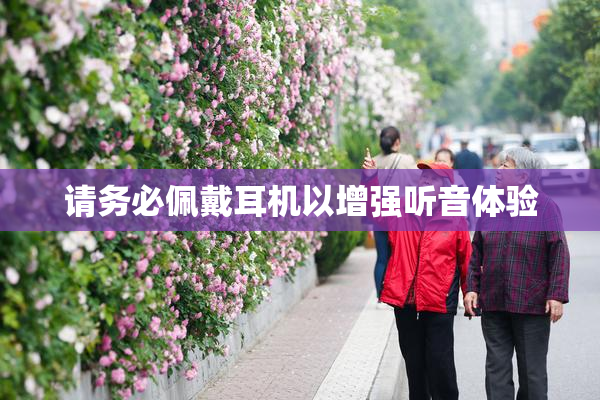 请务必佩戴耳机以增强听音体验