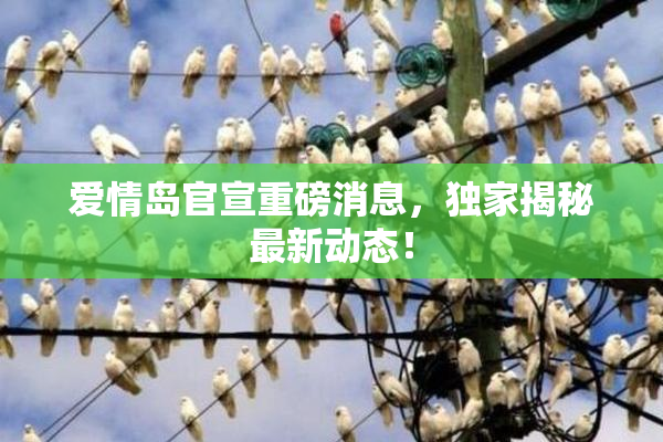 爱情岛官宣重磅消息，独家揭秘最新动态！