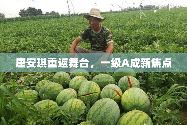 唐安琪重返舞台，一级A成新焦点