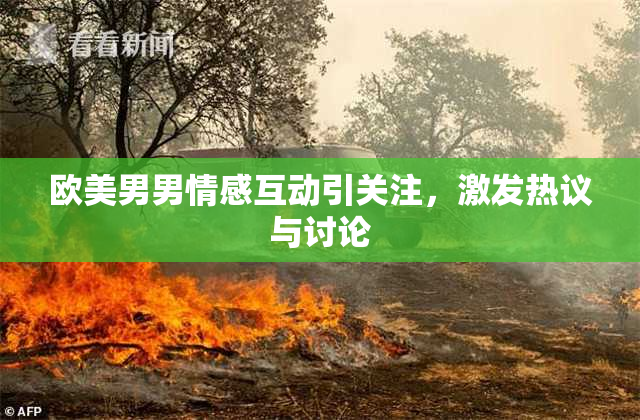欧美男男情感互动引关注，激发热议与讨论