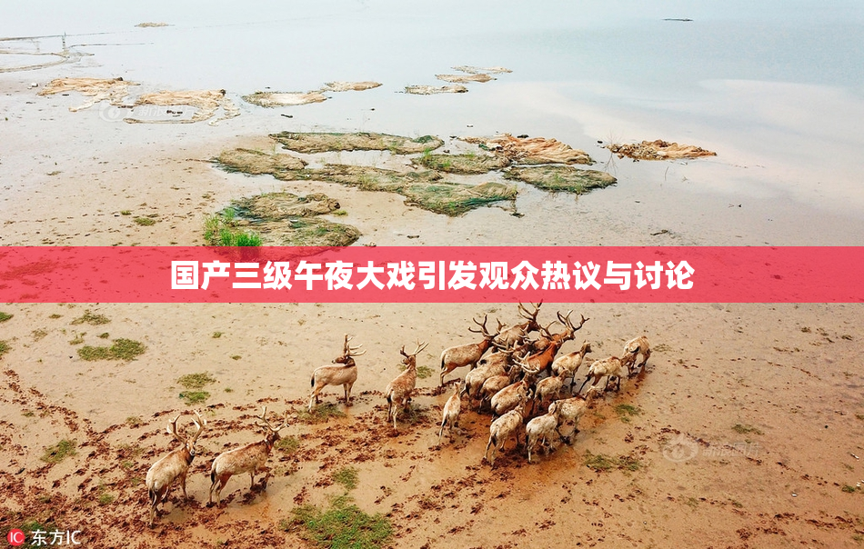 国产三级午夜大戏引发观众热议与讨论