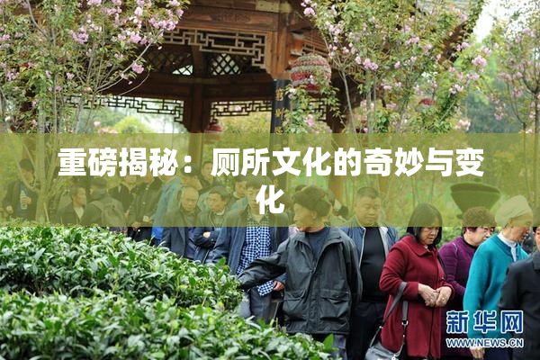 重磅揭秘：厕所文化的奇妙与变化