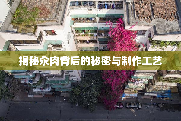 揭秘汆肉背后的秘密与制作工艺
