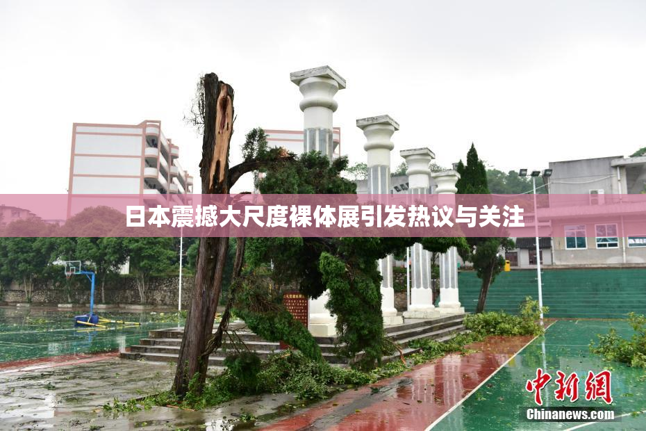 日本震撼大尺度裸体展引发热议与关注