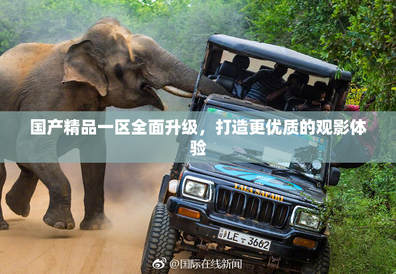 国产精品一区全面升级，打造更优质的观影体验