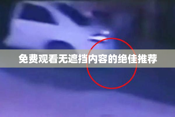 免费观看无遮挡内容的绝佳推荐
