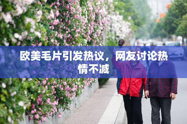 欧美毛片引发热议，网友讨论热情不减