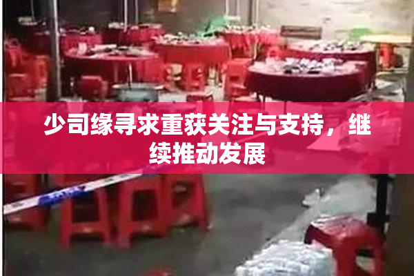 少司缘寻求重获关注与支持，继续推动发展