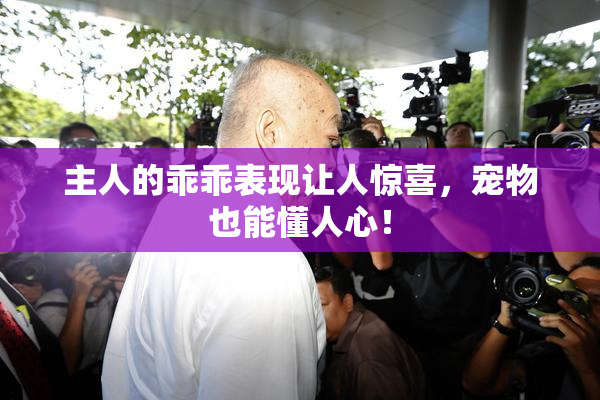 主人的乖乖表现让人惊喜，宠物也能懂人心！