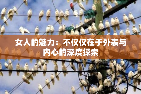 女人的魅力：不仅仅在于外表与内心的深度探索