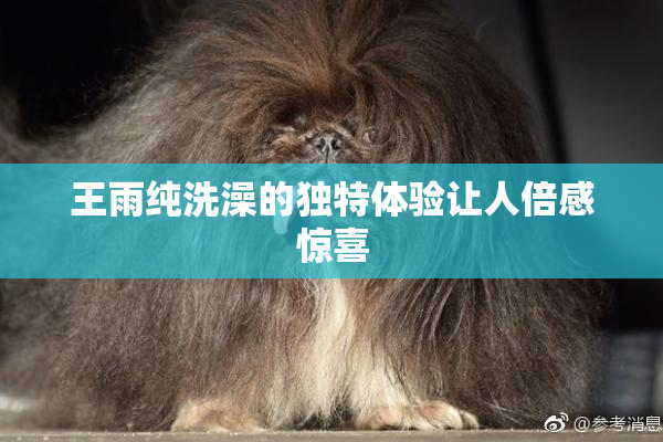 王雨纯洗澡的独特体验让人倍感惊喜