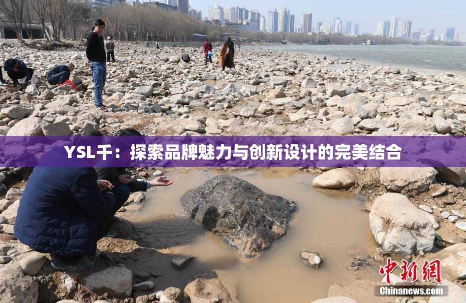 YSL千：探索品牌魅力与创新设计的完美结合