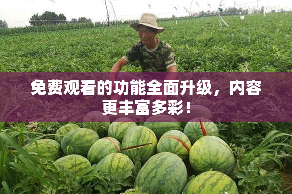 免费观看的功能全面升级，内容更丰富多彩！