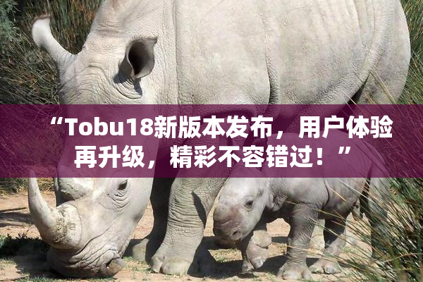 “Tobu18新版本发布，用户体验再升级，精彩不容错过！”