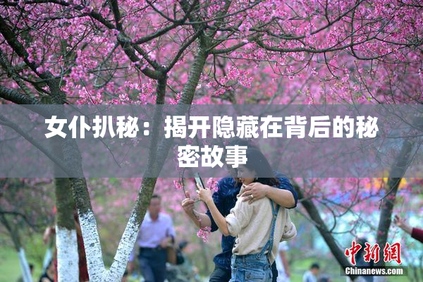 女仆扒秘：揭开隐藏在背后的秘密故事