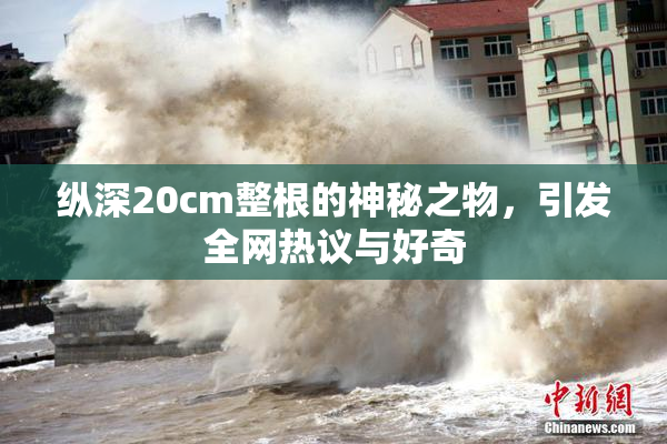 纵深20cm整根的神秘之物，引发全网热议与好奇