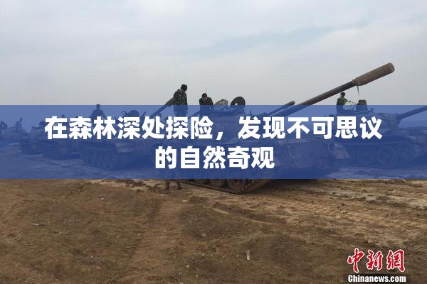 在森林深处探险，发现不可思议的自然奇观