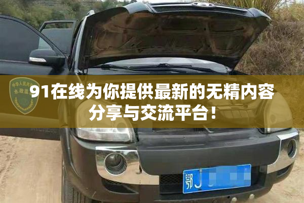 91在线为你提供最新的无精内容分享与交流平台！
