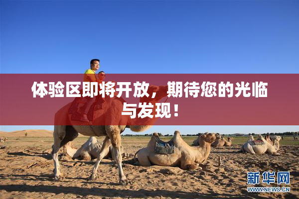体验区即将开放，期待您的光临与发现！
