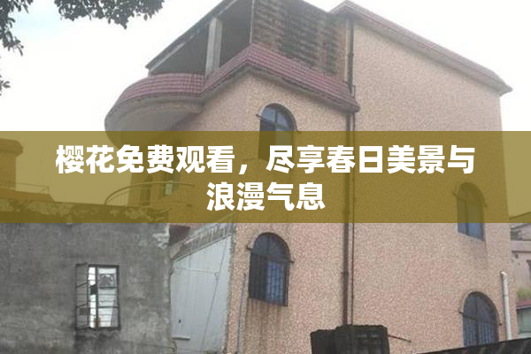 樱花免费观看，尽享春日美景与浪漫气息