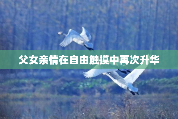 父女亲情在自由触摸中再次升华