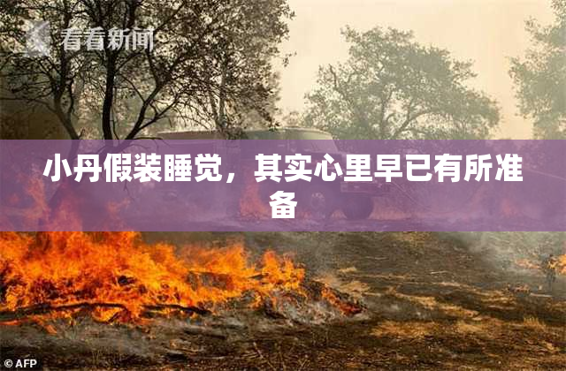 小丹假装睡觉，其实心里早已有所准备