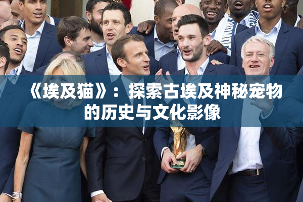 《埃及猫》：探索古埃及神秘宠物的历史与文化影像