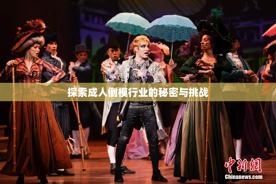 探索成人倒模行业的秘密与挑战