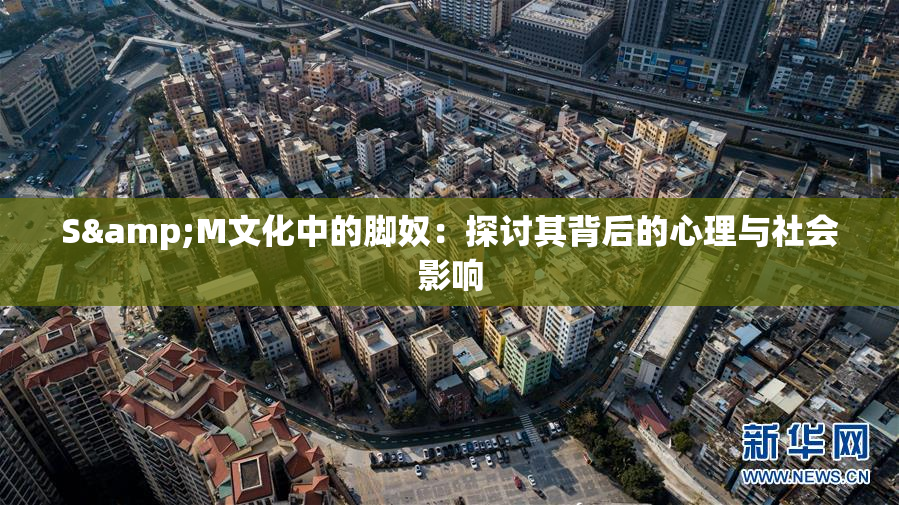 S&M文化中的脚奴：探讨其背后的心理与社会影响