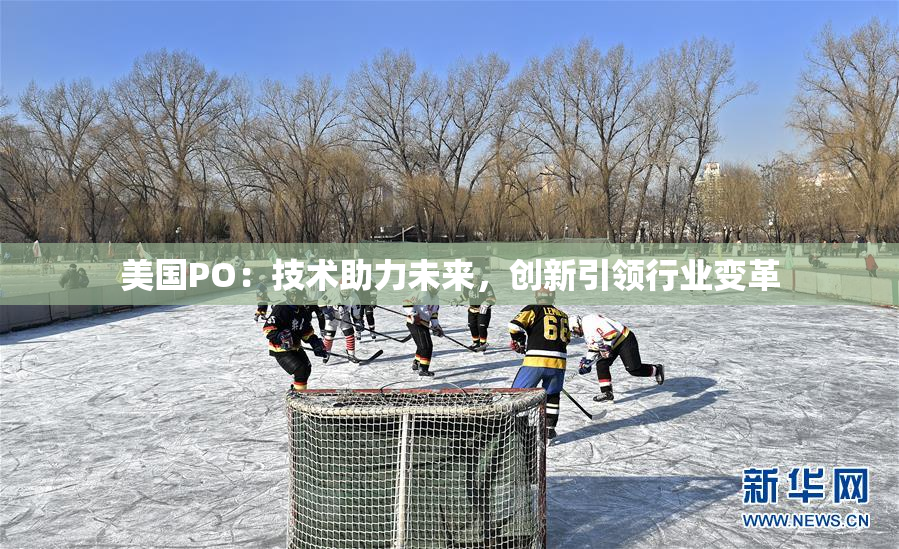美国PO：技术助力未来，创新引领行业变革