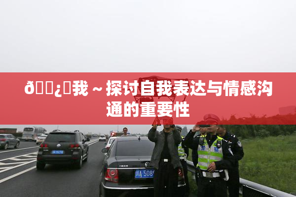 🌿‌我～探讨自我表达与情感沟通的重要性